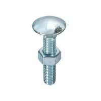 Carriage Cup Square Bolt and Hex Nuts