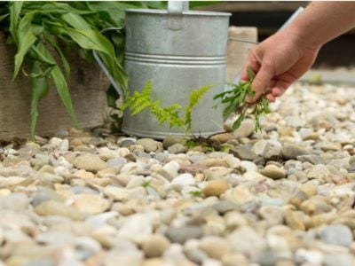 A hand pulling weeds from gravel