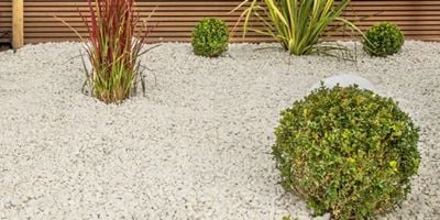 White gravel chippings in a landscaped garden with round green hedge and some smaller hedges