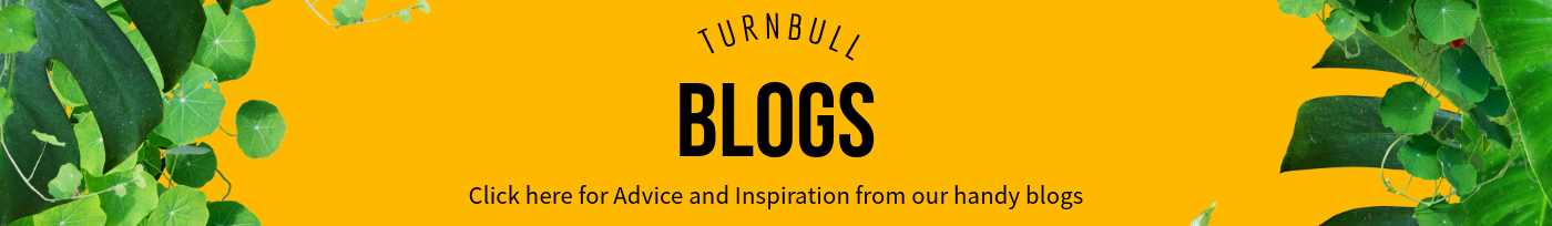 Blogs Page