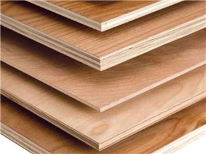 Hardwood Plywood [2440mm x 1220mm x 5.5mm]