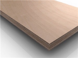 Hardwood Plywood [2440mm x 1220mm x 12mm]
