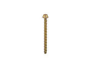 Thunderbolt All Purpose Anchor Bolt - Box of 25 -M10 x 150mm