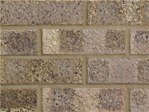 LBC - Facing Bricks 65mm [Cotswold]