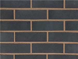 Wienerberger Engineering Perforated Class B Brick 65mm [Blue]