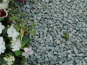 Long Rake Spar - Decorative Gravel 14mm Bulk Bag [Green Granite]