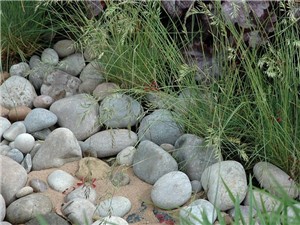 20-30mm Scottish Decorative Pebbles - 20kg bag