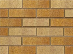 Ibstock Facing Brick 65mm [Tradesman Buff Multi]