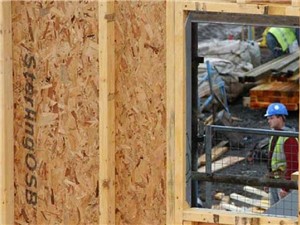 Sterling Structural Board OSB3 2440mm x 1220mm